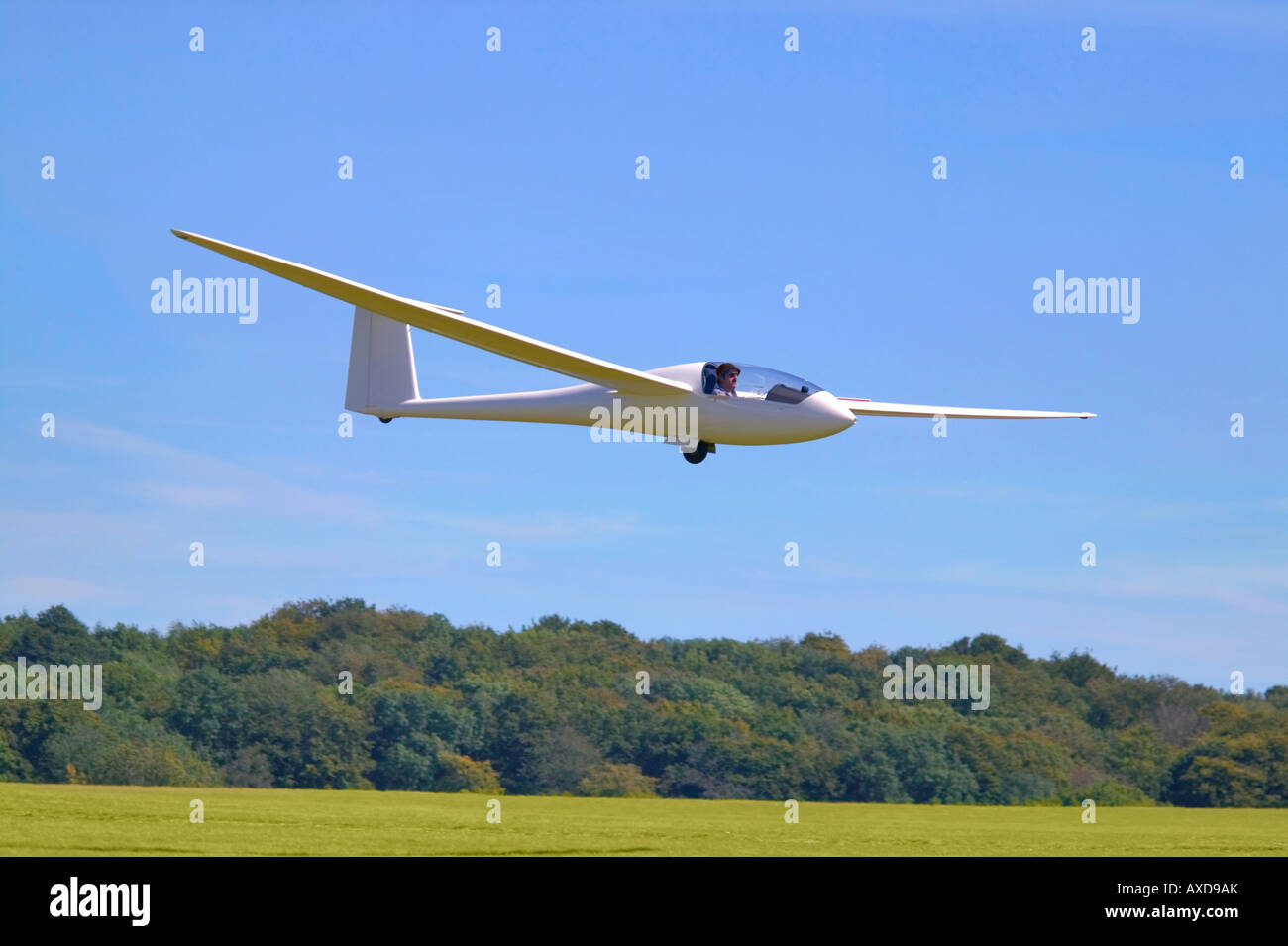 A modern glider just about to land on a grass airfield Stock Photo