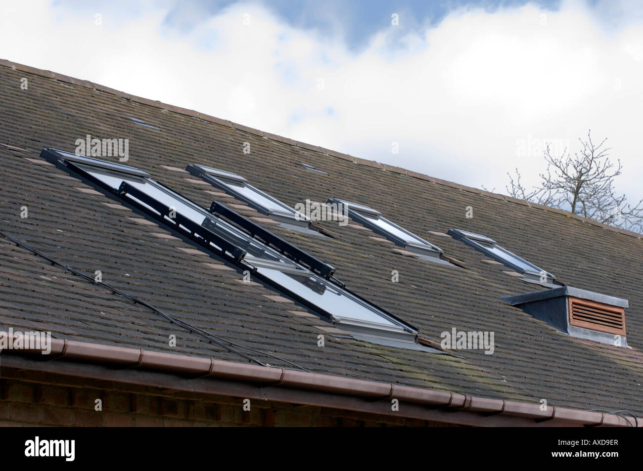 Windows in the roof of a house Stock Photo Alamy