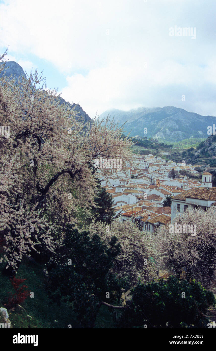 Grazalerma 15 Km NW of Ronda Stock Photo