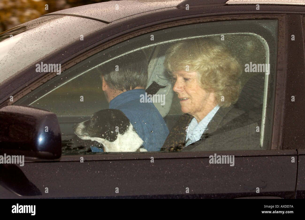 THEN PRINCE CHARLES COMPANION CAMILLA PARKER BOWLES LEAVING HIGHBURY WITH HER DOG NOW HRH DUCHESS OF CORNWALL Stock Photo