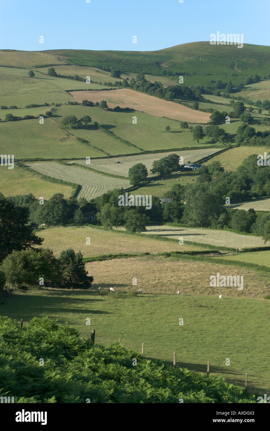 Fields at Rhulen Stock Photo