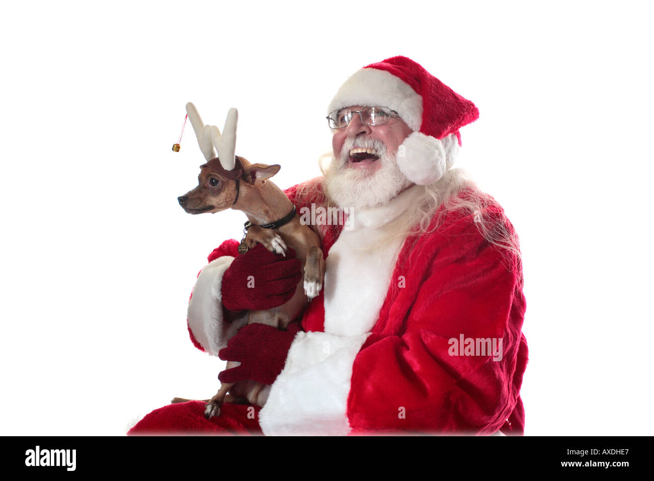 Santa with a funny small dog Stock Photo