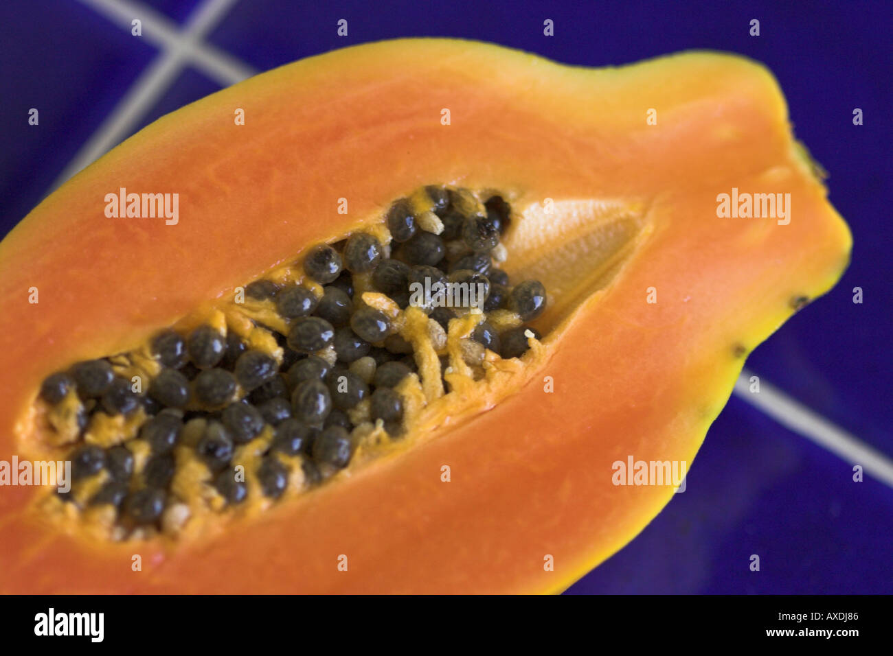 Papaya and seeds close Stock Photo