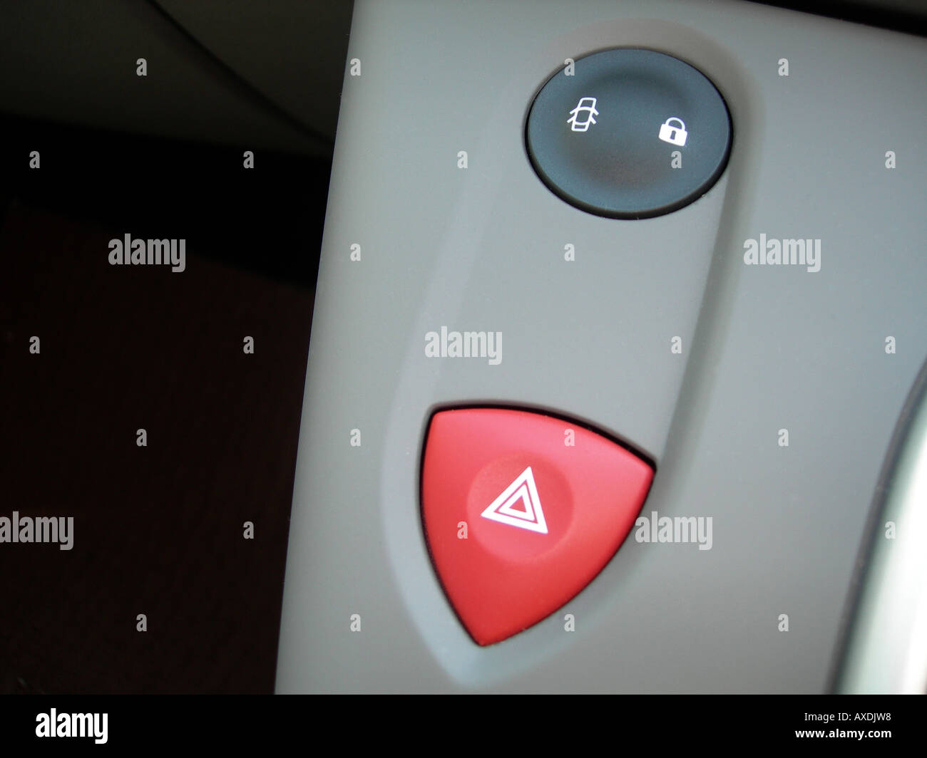 Emergency light button and door locking button on modern electronic car