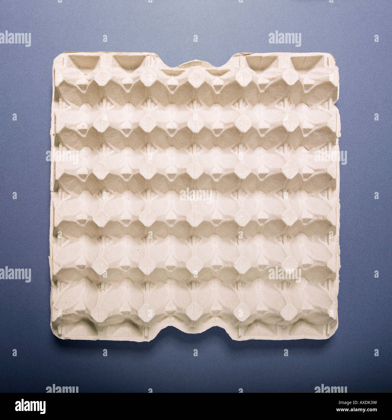 Empty egg carton box hires stock photography and images Alamy