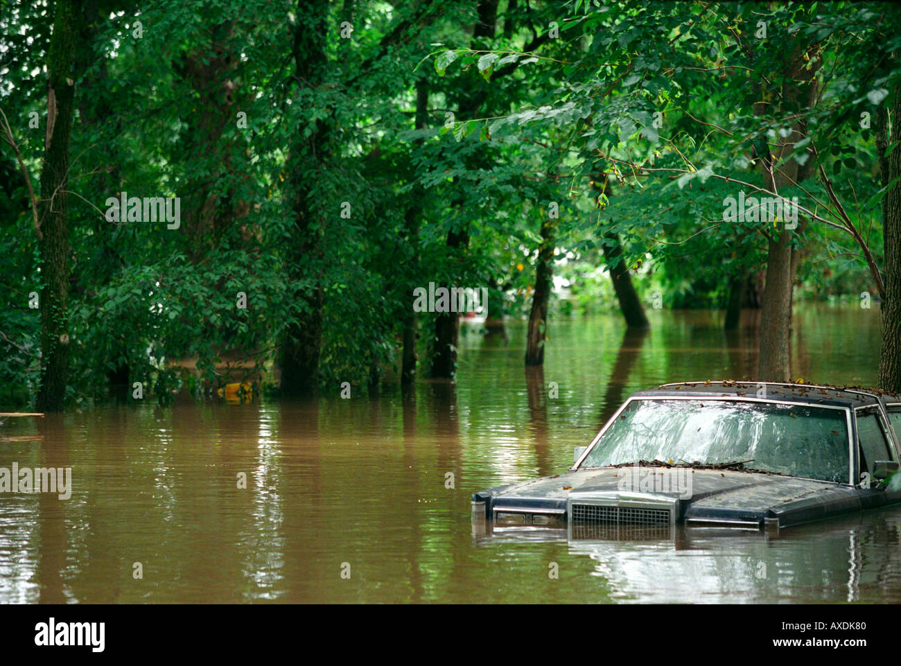 car submerged in water Stock Photo Alamy