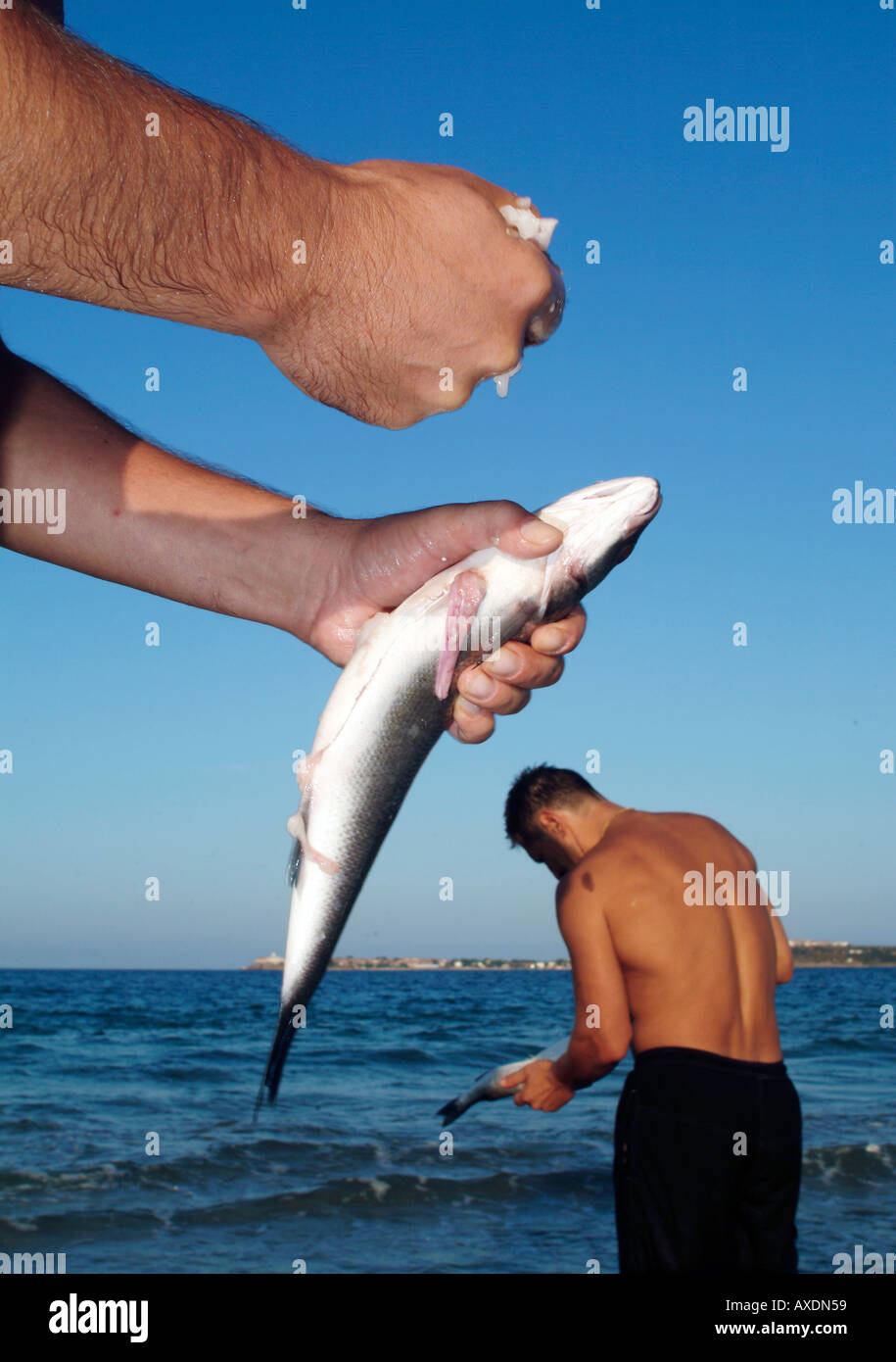 fisherman cleaning fish in the water Stock Photo Alamy