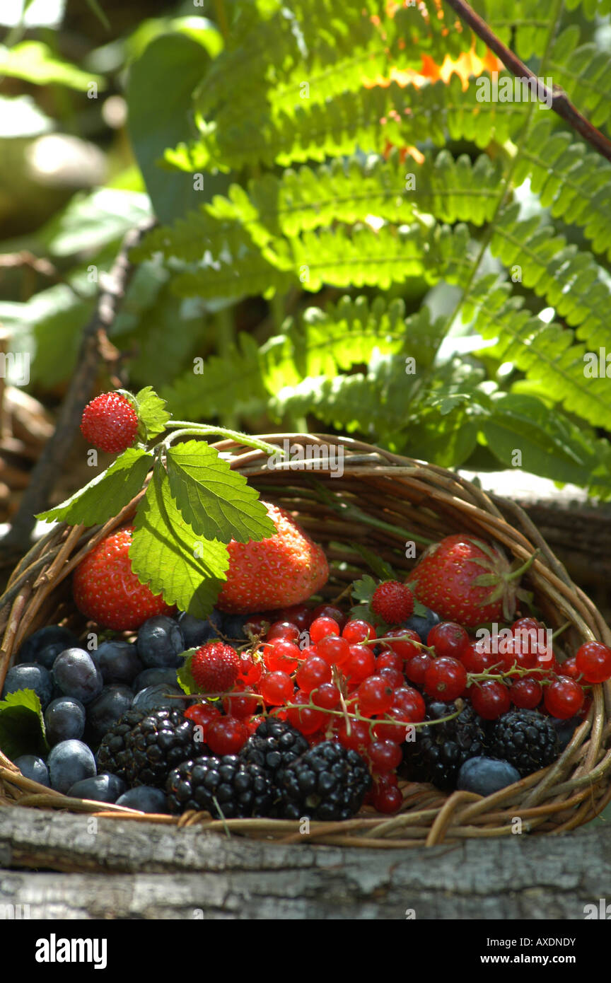 Soft Fruits - Frutti di bosco Stock Photo