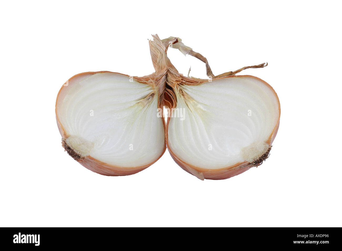 Onion half sliced Cut Out Stock Images & Pictures - Alamy