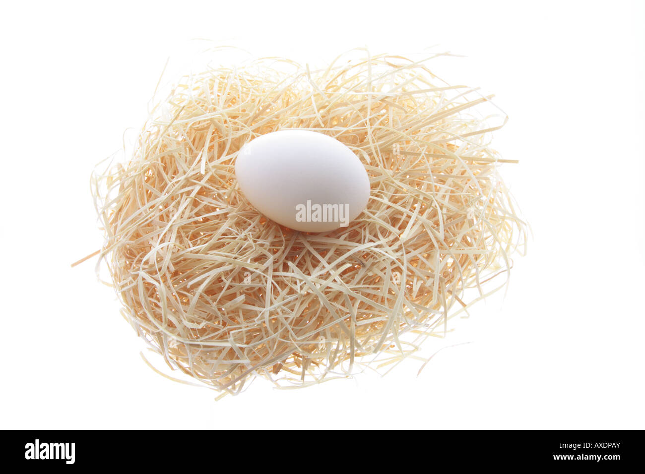 White Egg on Straw Nest Stock Photo - Alamy