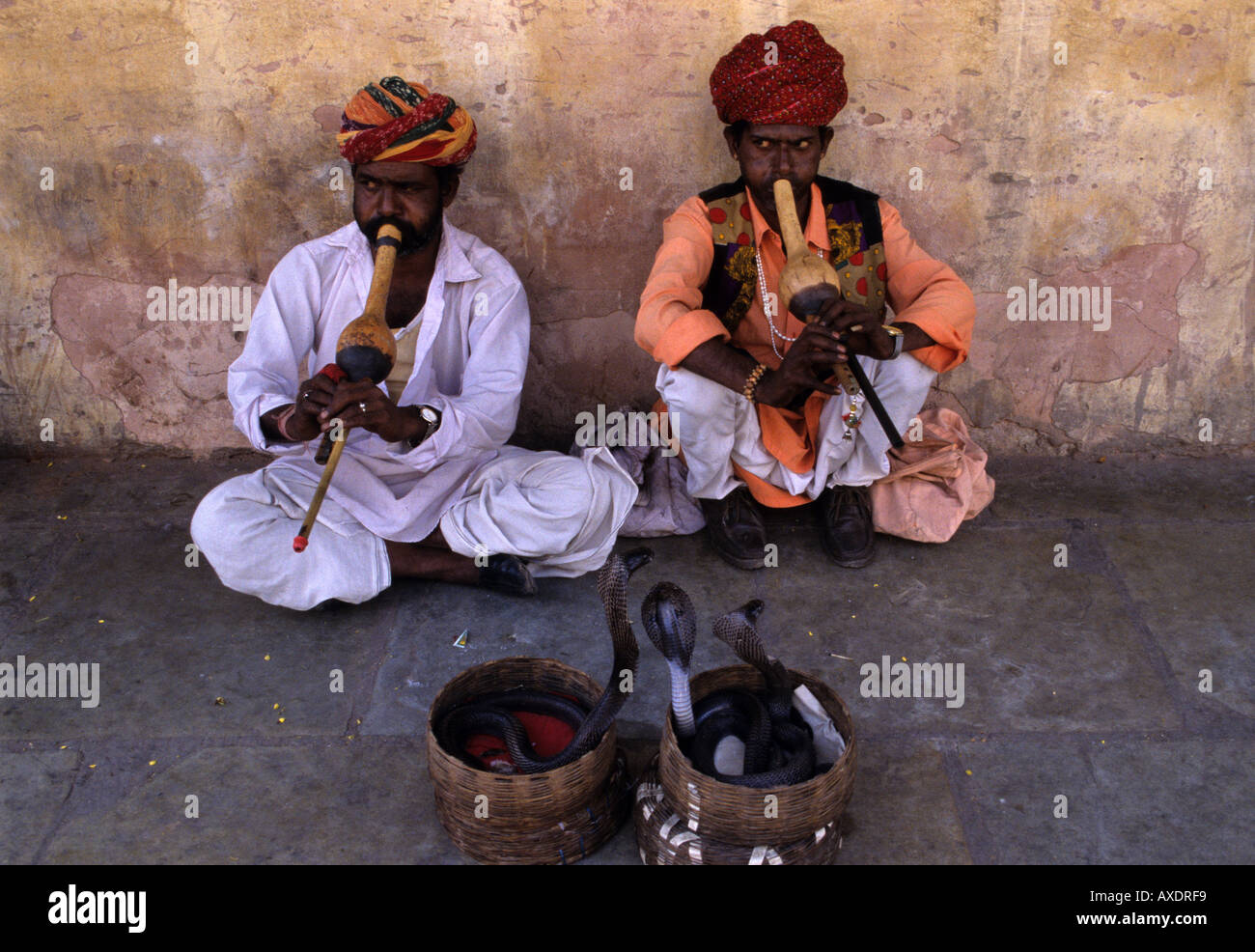 Indian snake charmers playing flutes to cobra snakes in baskets hires