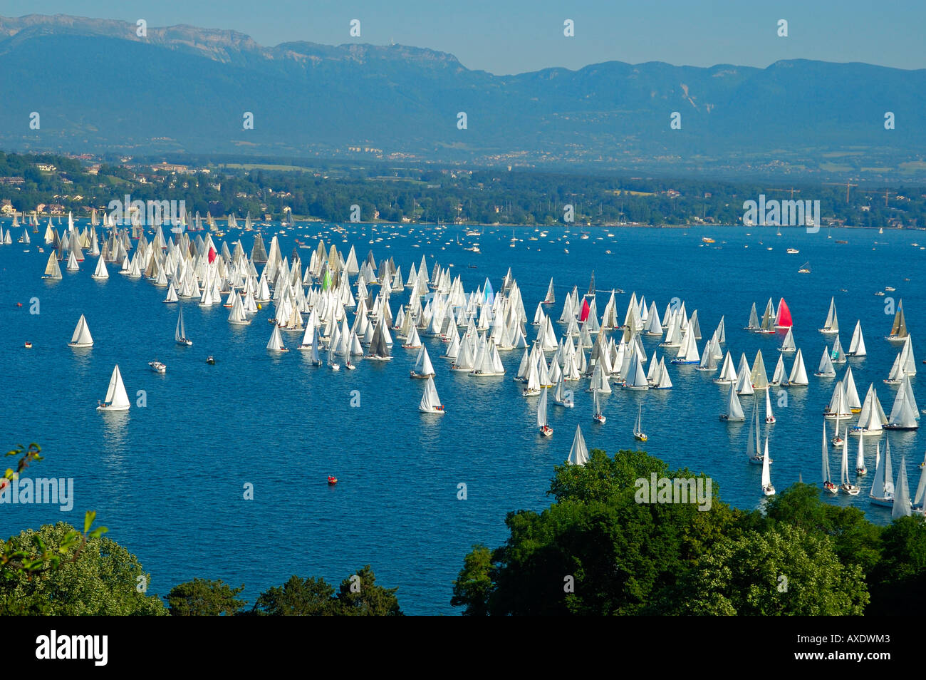 Starting line of a sailing boat race, Lac Leman Switzerland Stock Photo -  Alamy