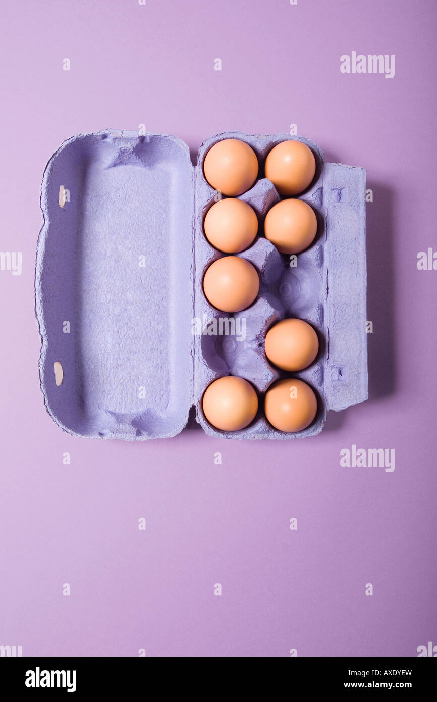 Brown eggs in violet egg carton, elevated view Stock Photo Alamy