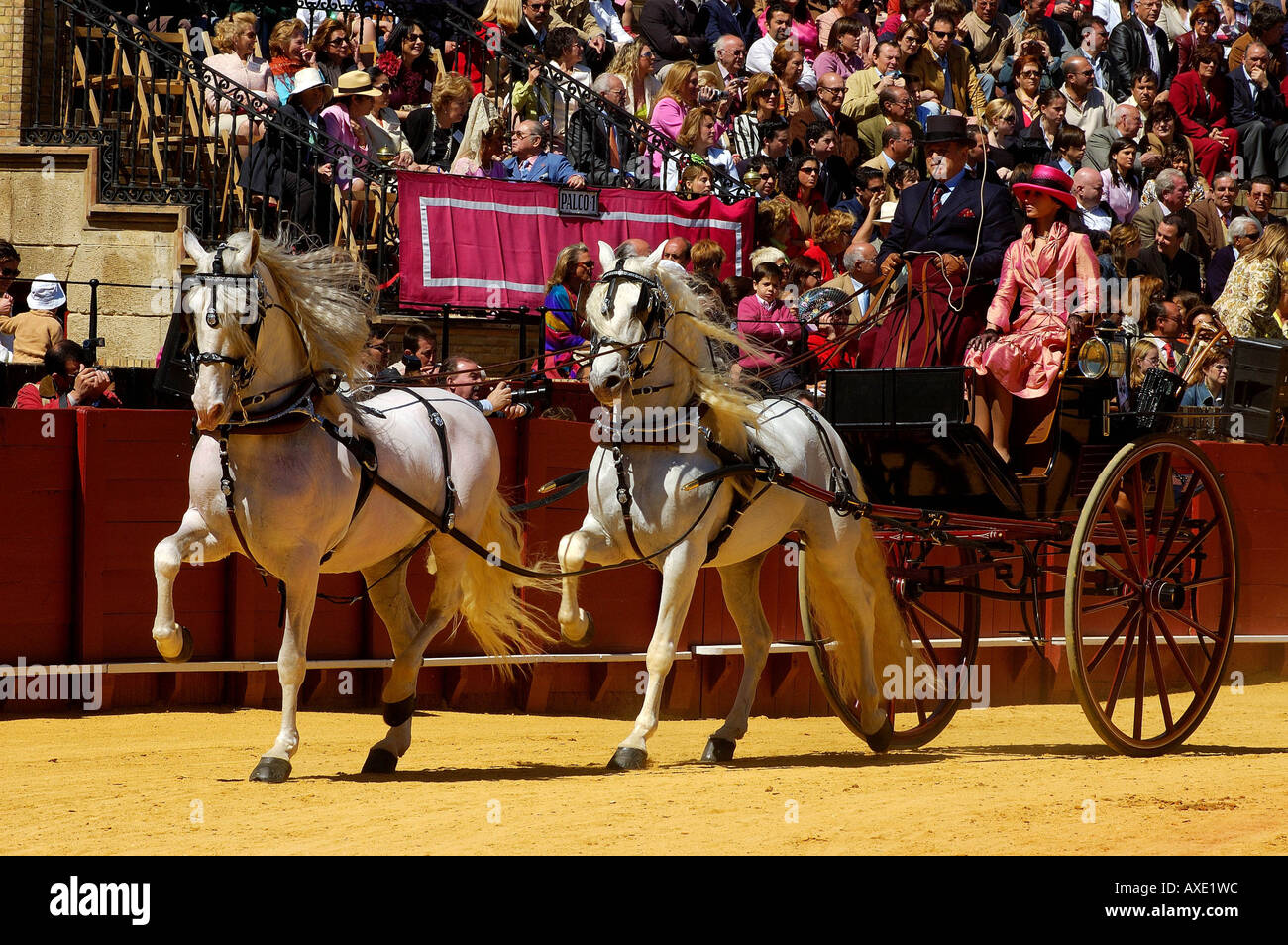 Coach competition in the bullfighting arena La Real Maestranza , Feria de Abril , Sevilla , Andalusia , Europe Stock Photo