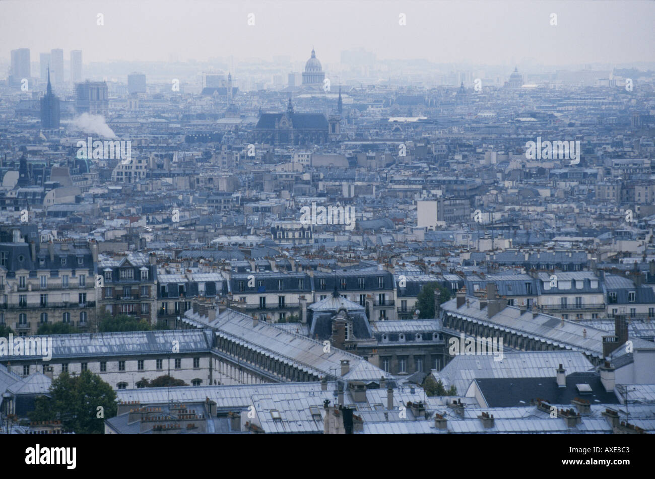 FRANCE PARIS SKY LINE ROOFS ROOF TOPS LE NOTRE DAME ARCHITECTURE CITY CITIES EUROPE EUROPEAN TRAVEL PLACES GREY WINTER AUTUMN COLD Stock Photo