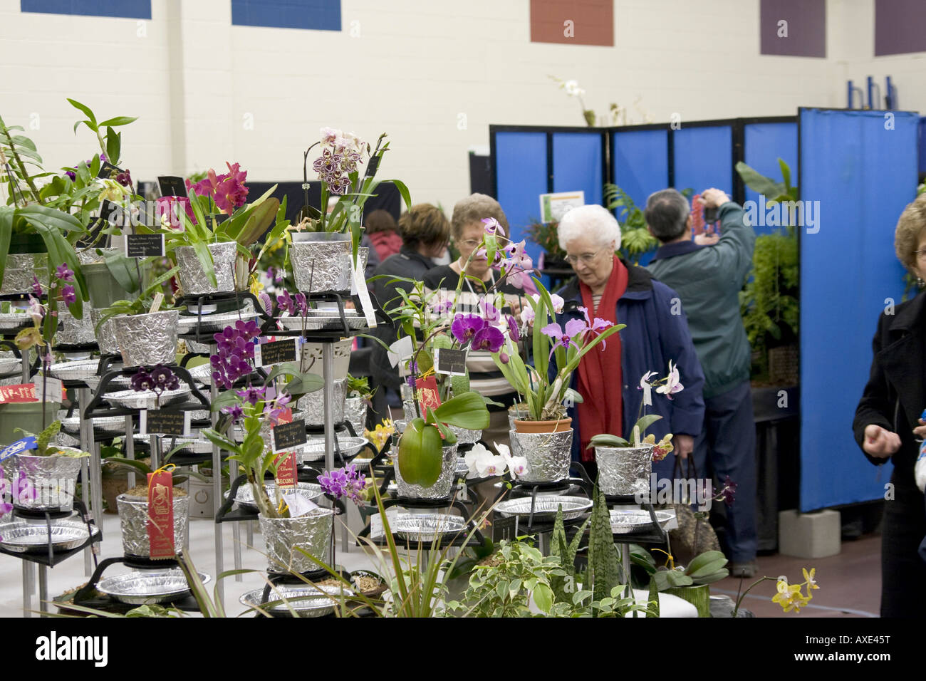 Edmonton Orchid Show Stock Photo Alamy