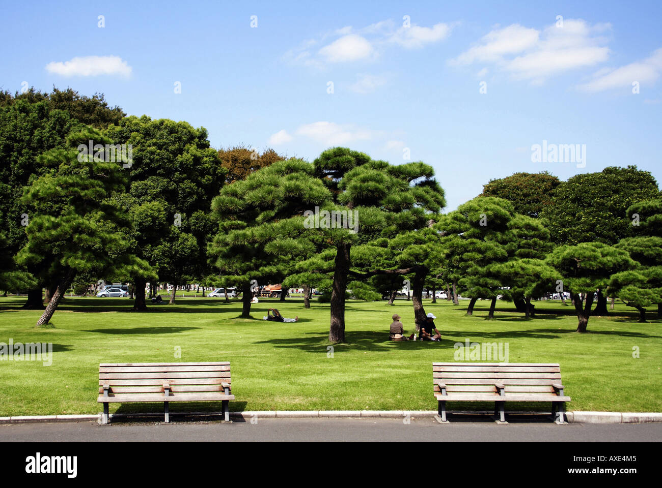 Imperial Garden, Tokyo, Kanto, Japan Stock Photo