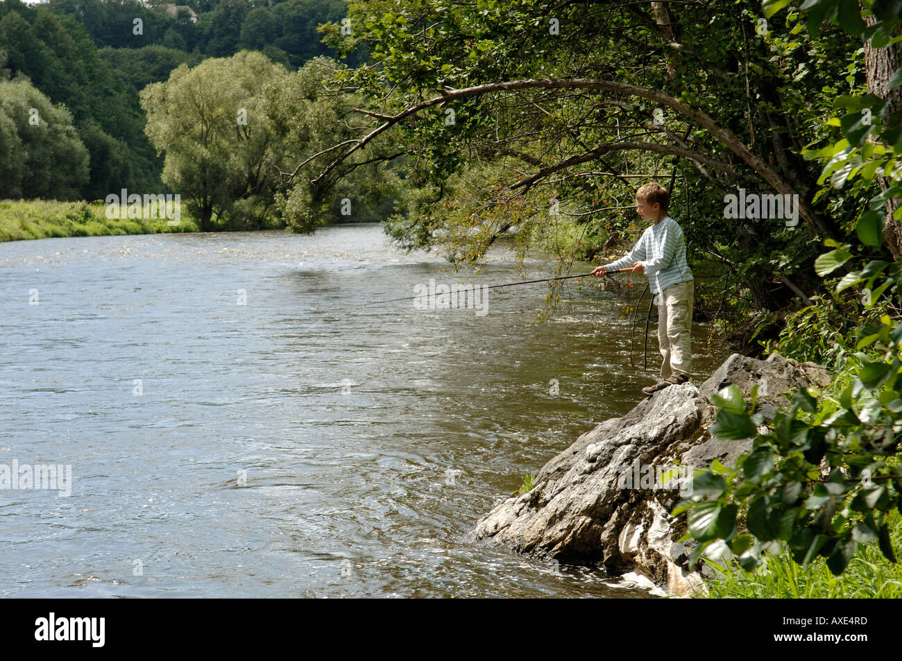 Nine fish hi-res stock photography and images - Alamy