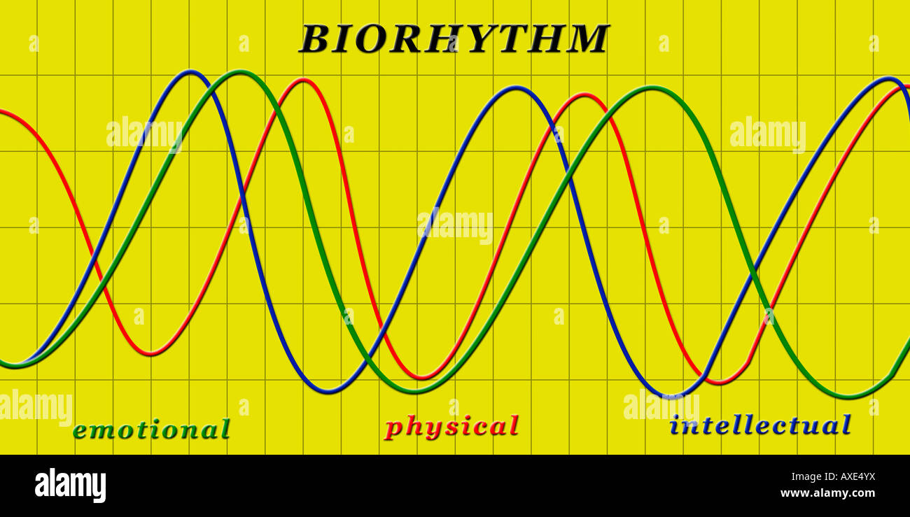 emotional, physical and intellectual biorhythm Stock Photo