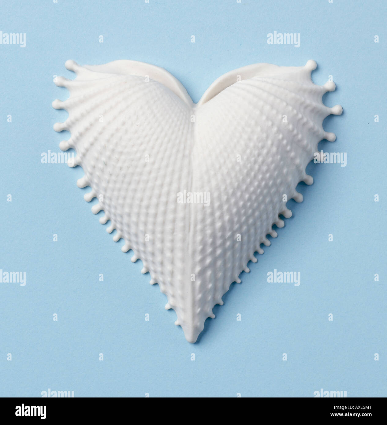 Shell Heart vertical Stock Photo