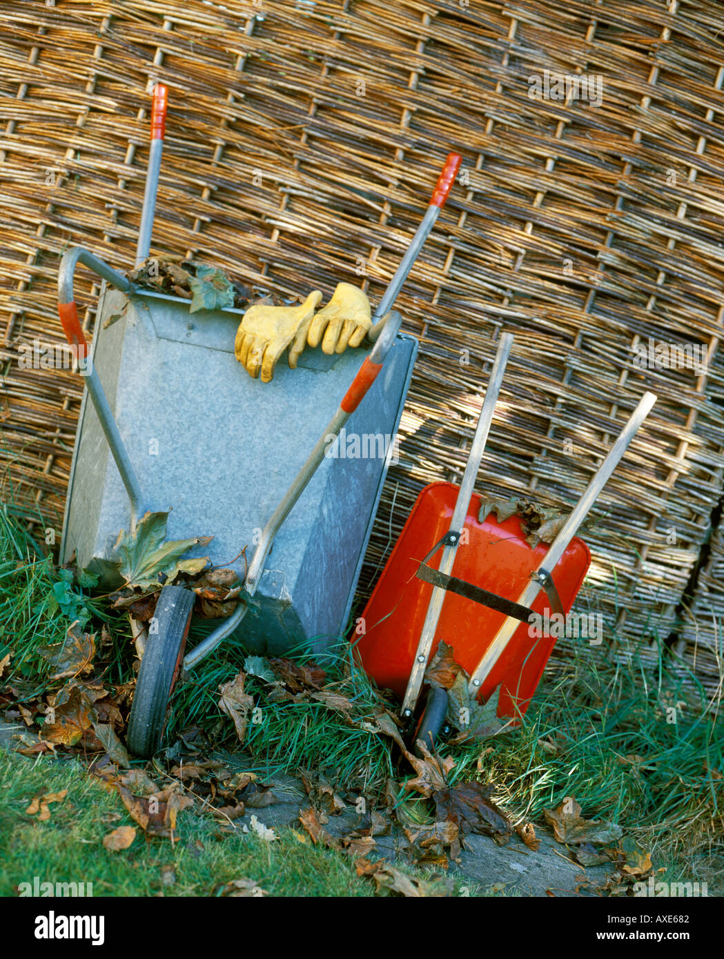 Wheelbarrows in garden Stock Photo Alamy