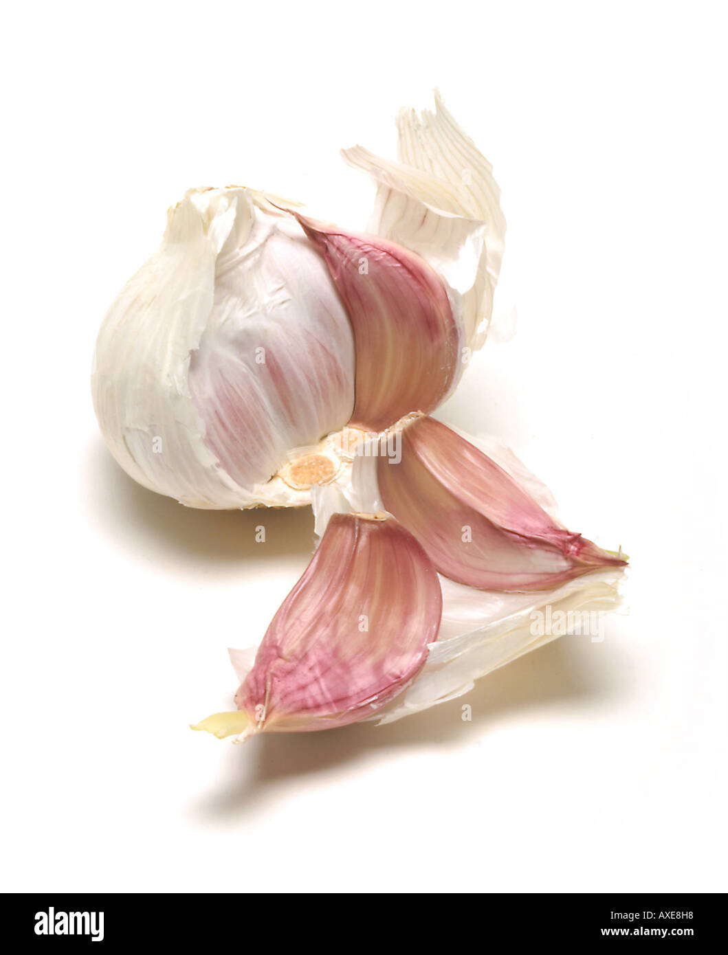 Head of garlic Stock Photo Alamy