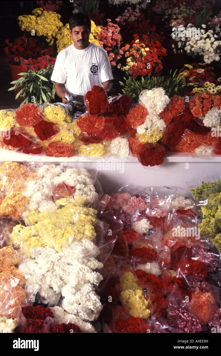 Farm worker sorts flowers on farm in Tabuk Saudi Arabia Stock Photo