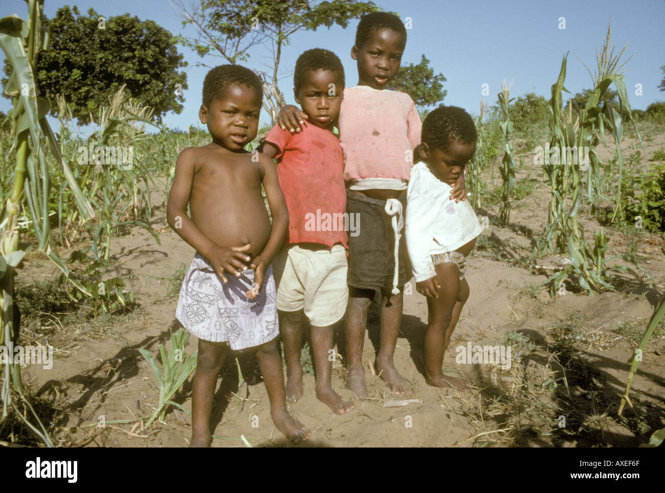 Africa South Africa Children on farm Stock Photo