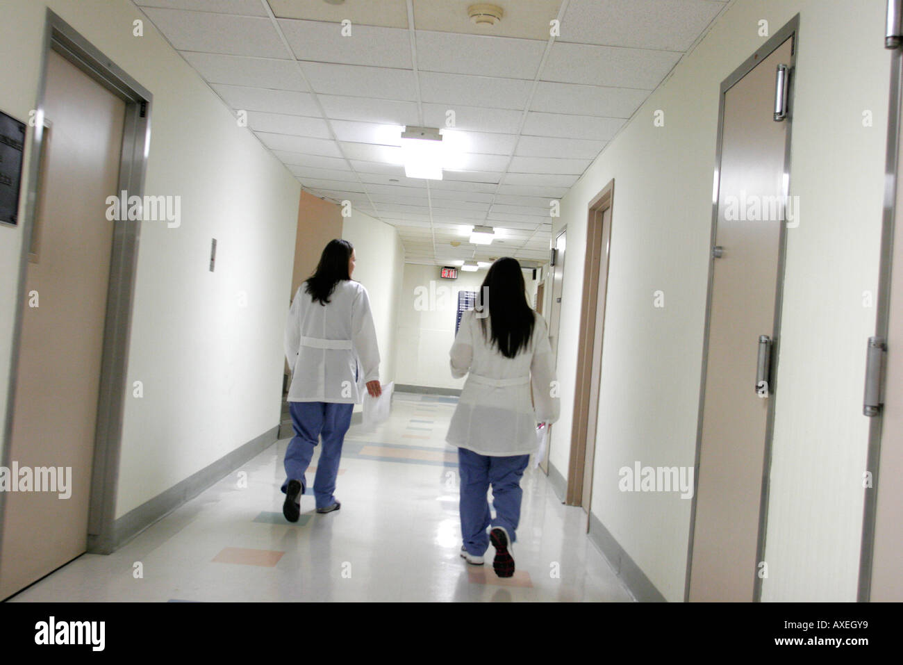 Miami Beach Florida,Mount Sinai Medical Center,centre,hospital