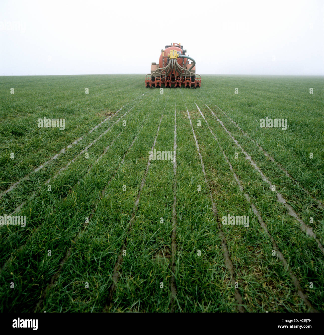 Tractor and Hispec slurry injector injecting slurry into grassland Stock Photo