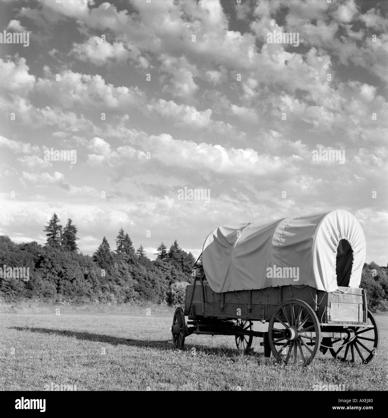 Transport Covered Wagon Stock Photos & Transport Covered Wagon Stock
