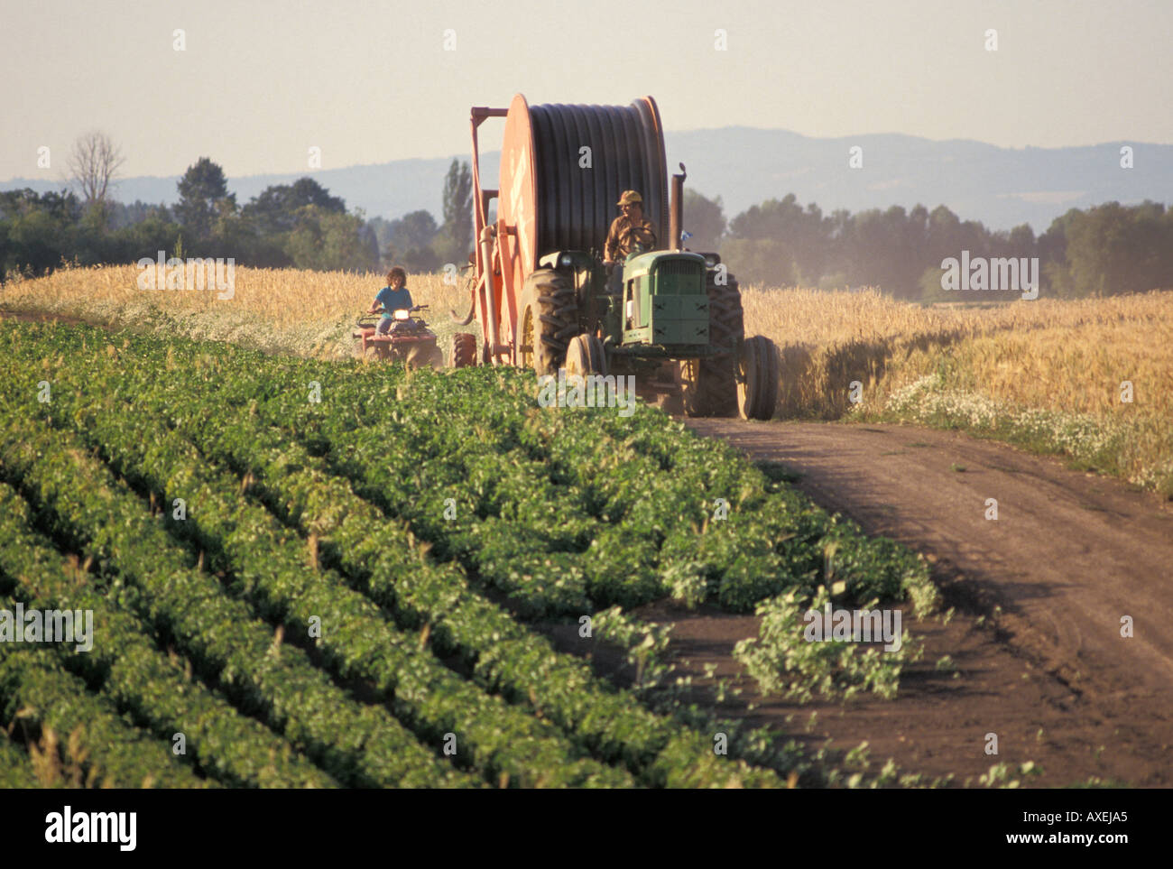 Men driving tractors hi-res stock photography and images - Alamy