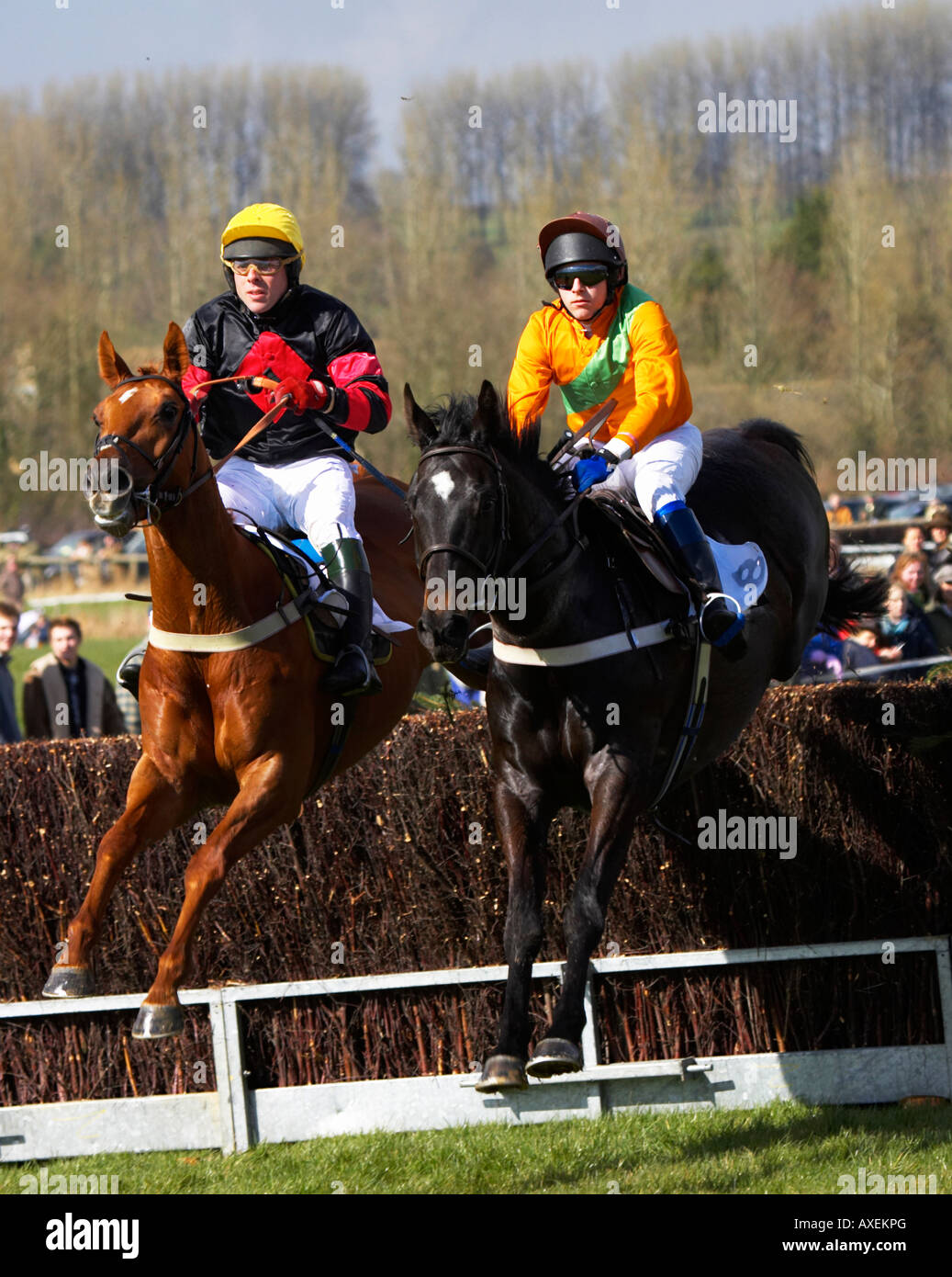 Paxford, north cotswold point to point Stock Photo Alamy