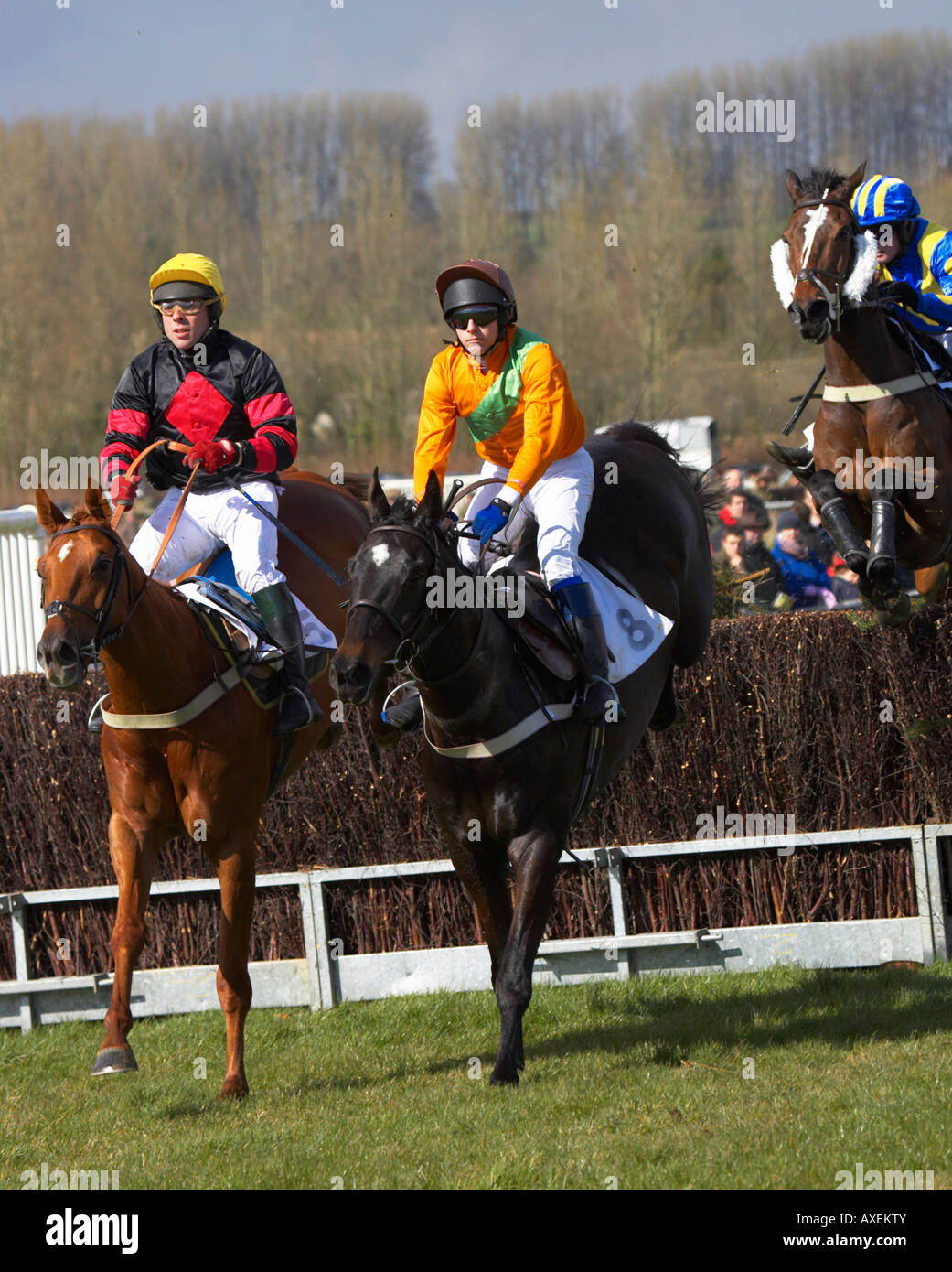 Paxford, north cotswold point to point Stock Photo Alamy