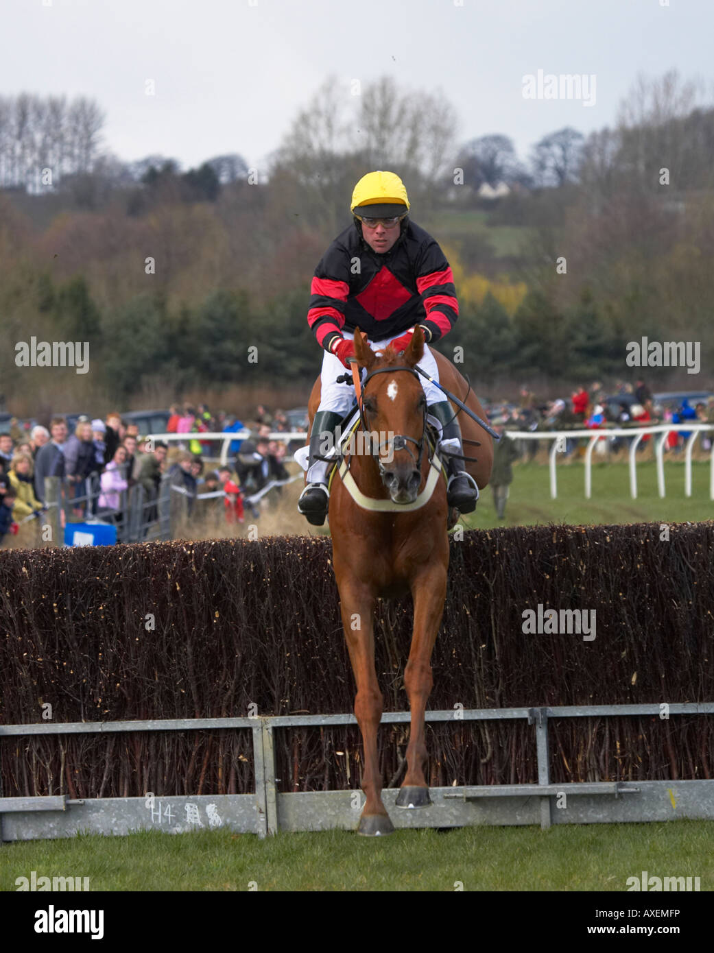 Paxford, north cotswold point to point Stock Photo Alamy