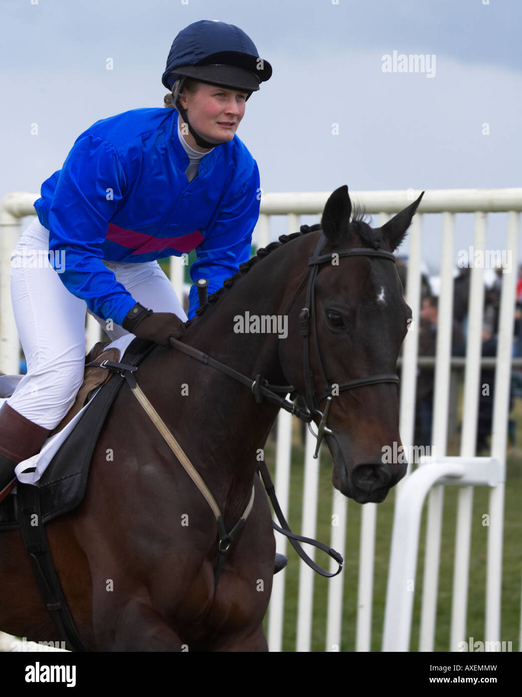 Paxford, north cotswold point to point Stock Photo Alamy