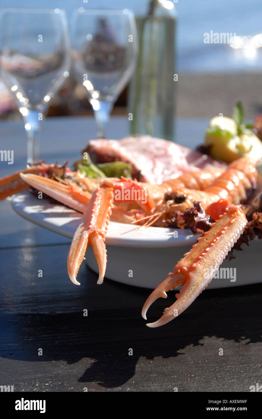 Assorted fresh crayfish on the table of a coastal ibizan restaurant ...