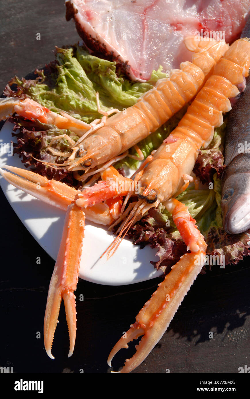 Assorted fresh crayfish on the table of a coastal ibizan restaurant ...