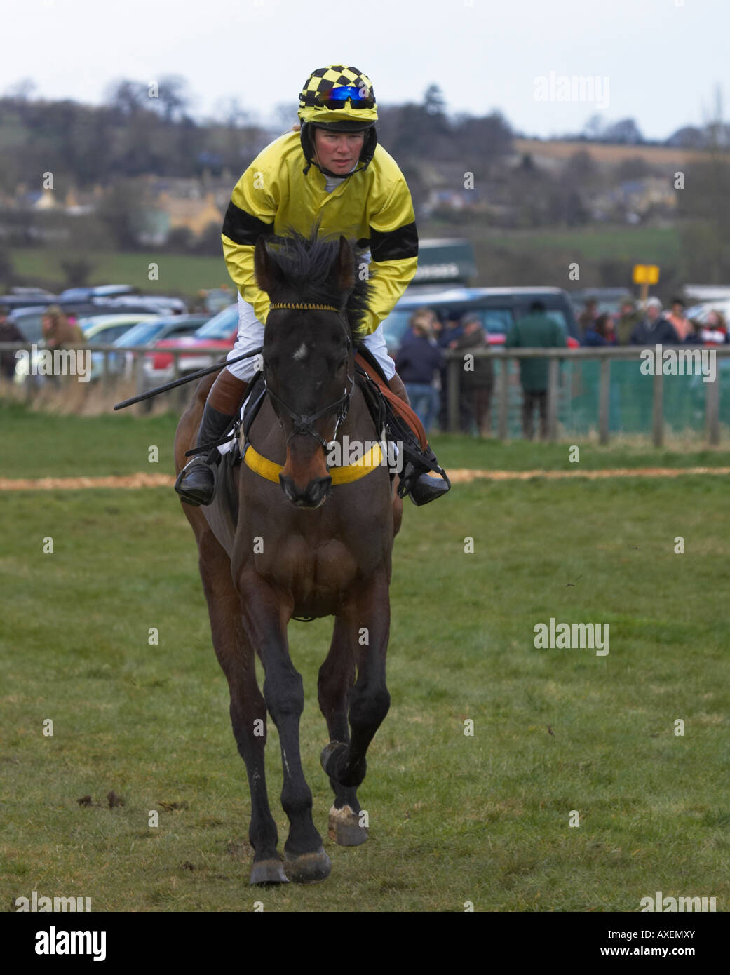Paxford, north cotswold point to point Stock Photo Alamy
