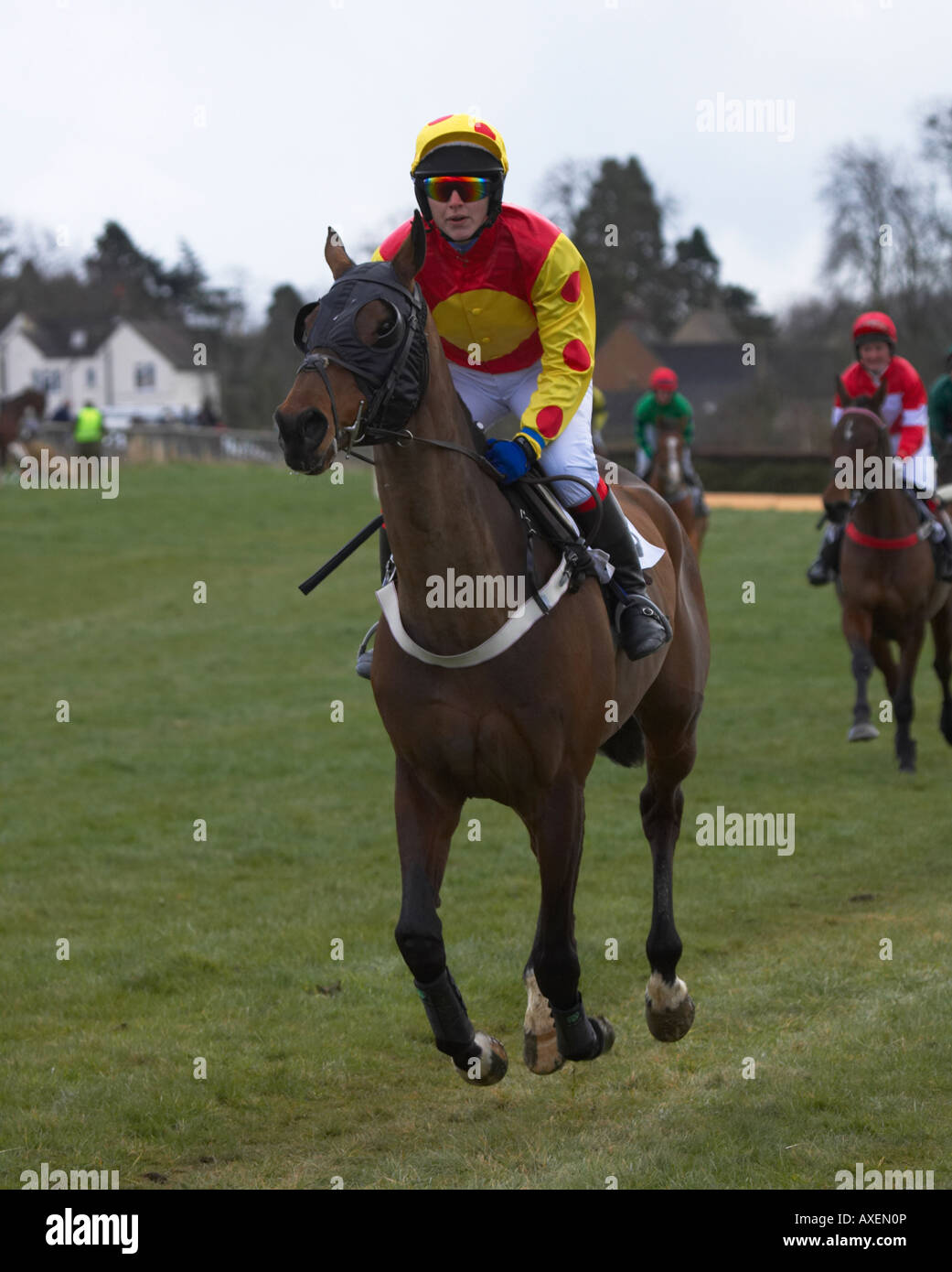 Paxford, north cotswold point to point Stock Photo Alamy