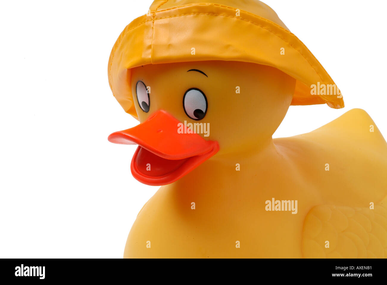 rubber duck with hat