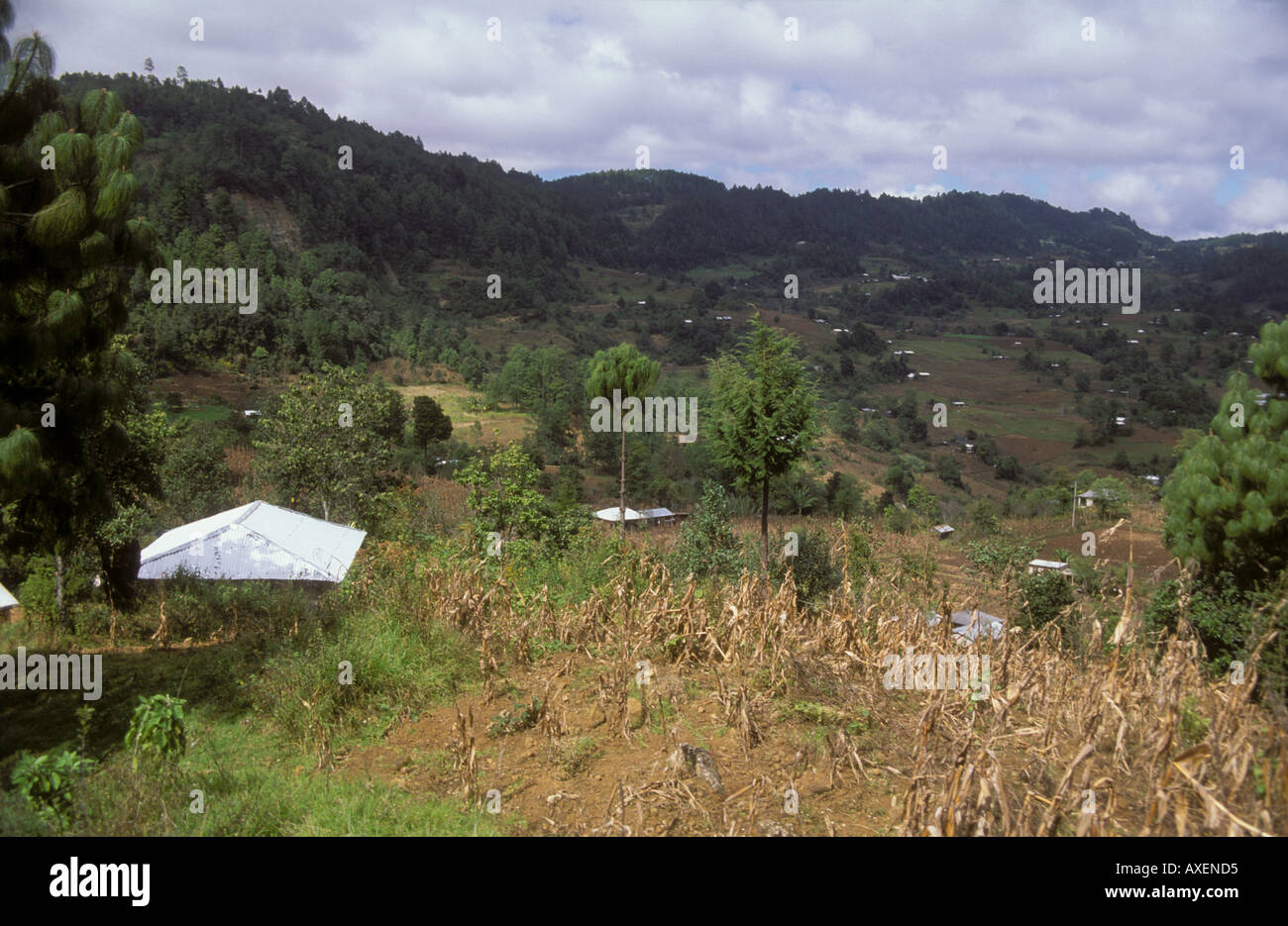Small farms in mountains of Chiapas northeast of Chiapa de Corzo along highway 195 Mexico Stock Photo