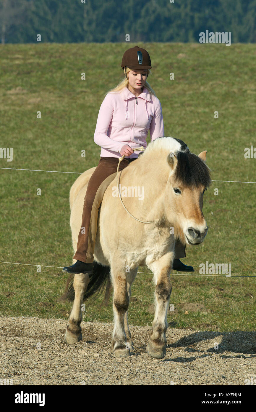 girl riding on Norwegian Fjord Stock Photo