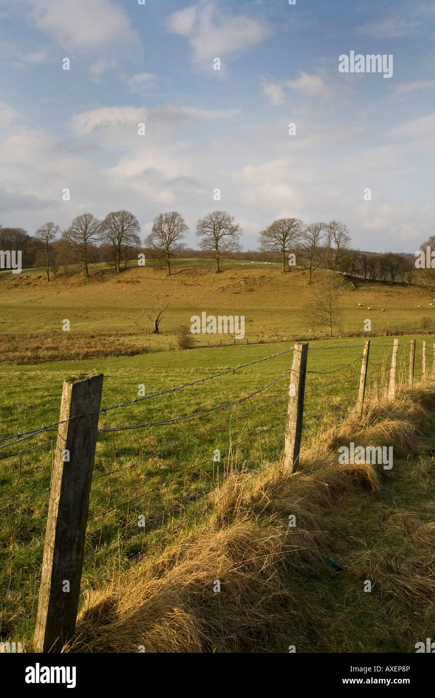 Country road, barbed wire fence and fields in the English Lake District