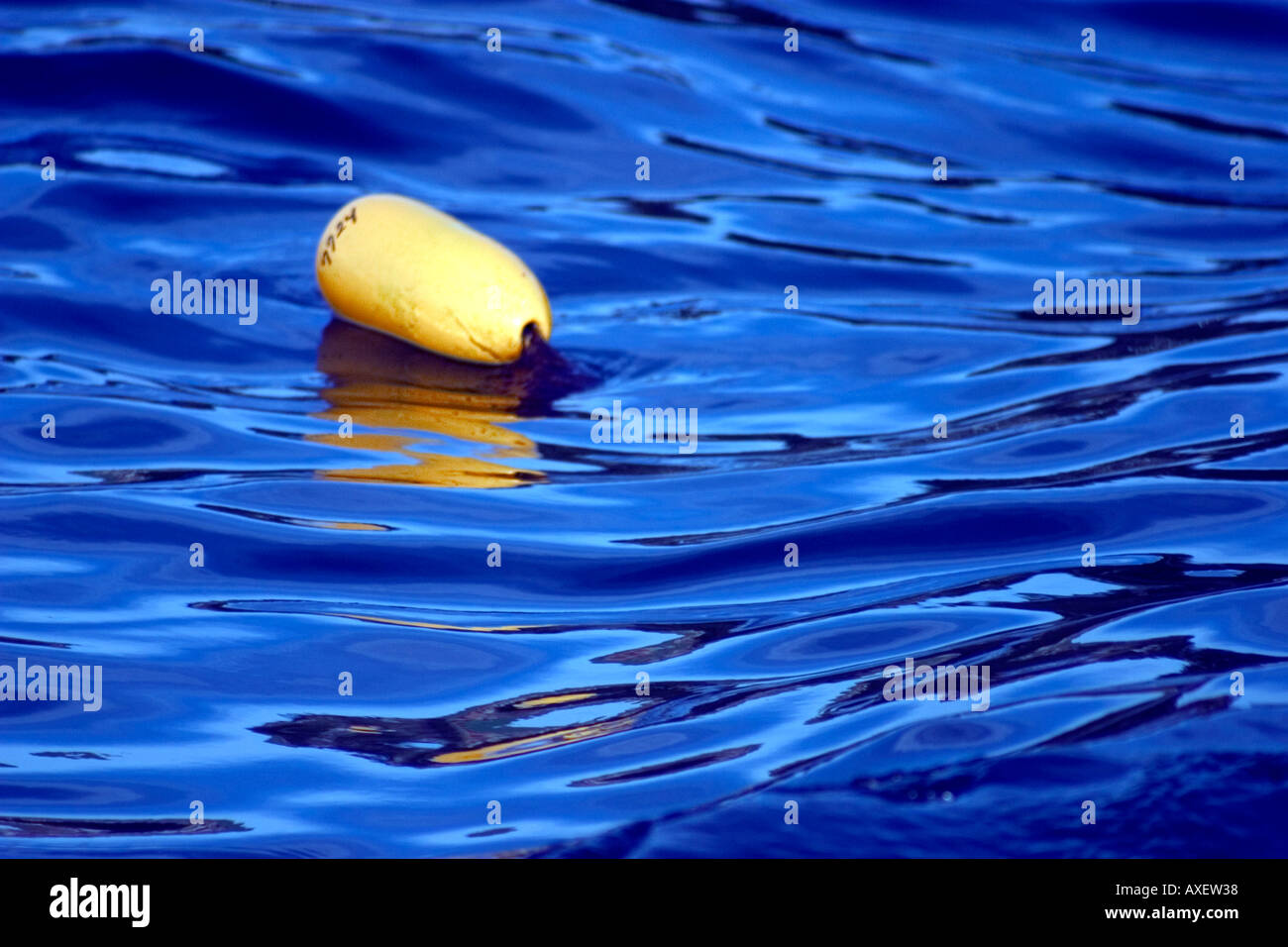 Yellow Float on Sapphire Blue Water Stock Photo: 5493047 - Alamy