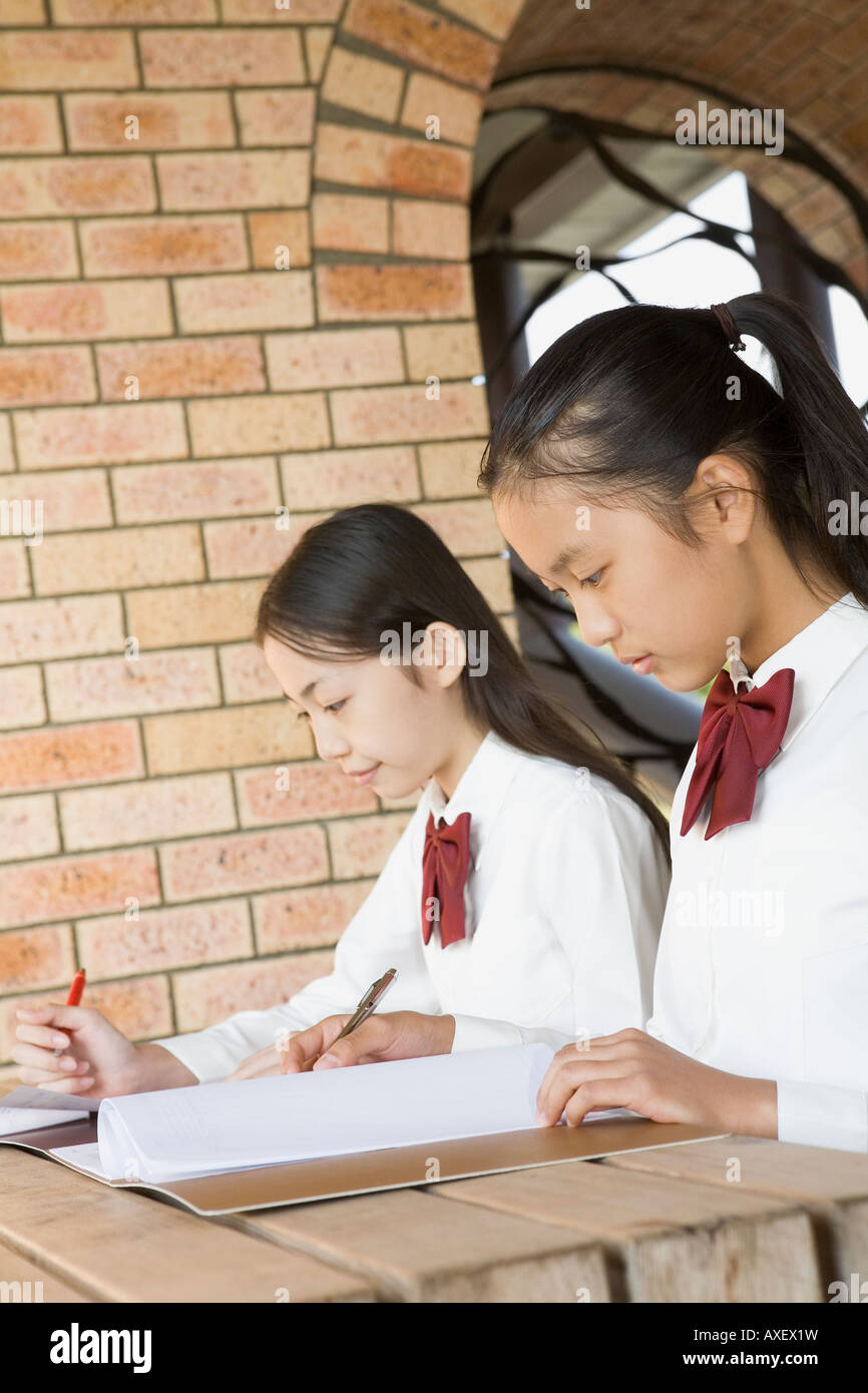 School girls studying Stock Photo