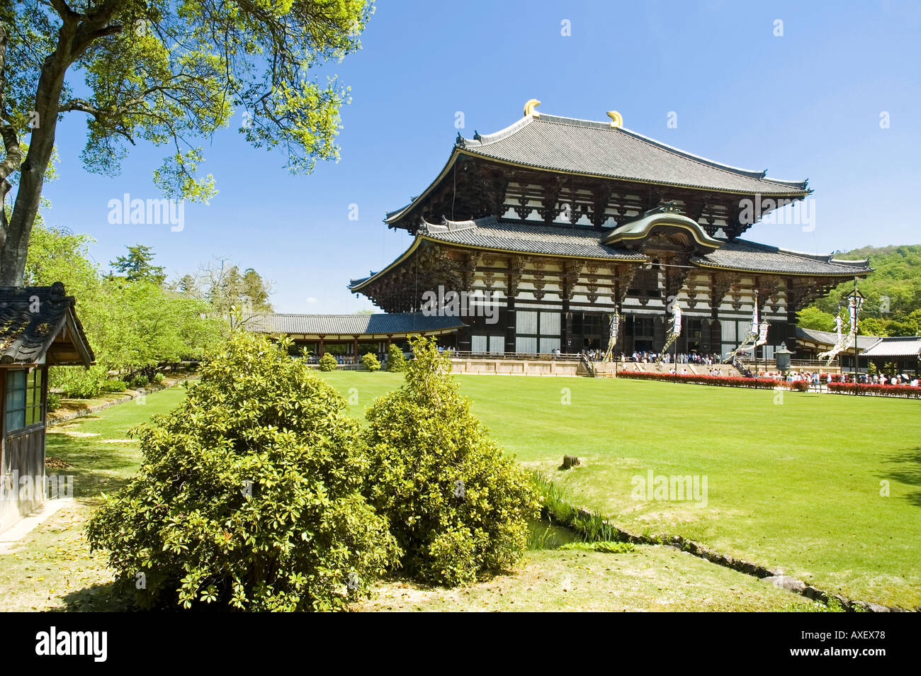 Todaiji temple stands as the world s largest wooden building in Nara