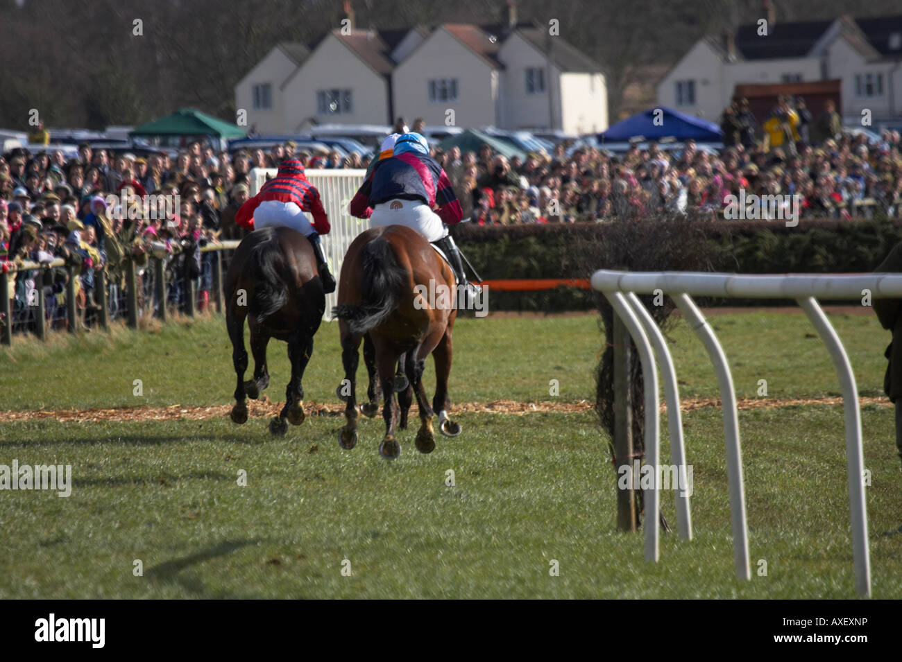 Paxford, north cotswold point to point Stock Photo Alamy