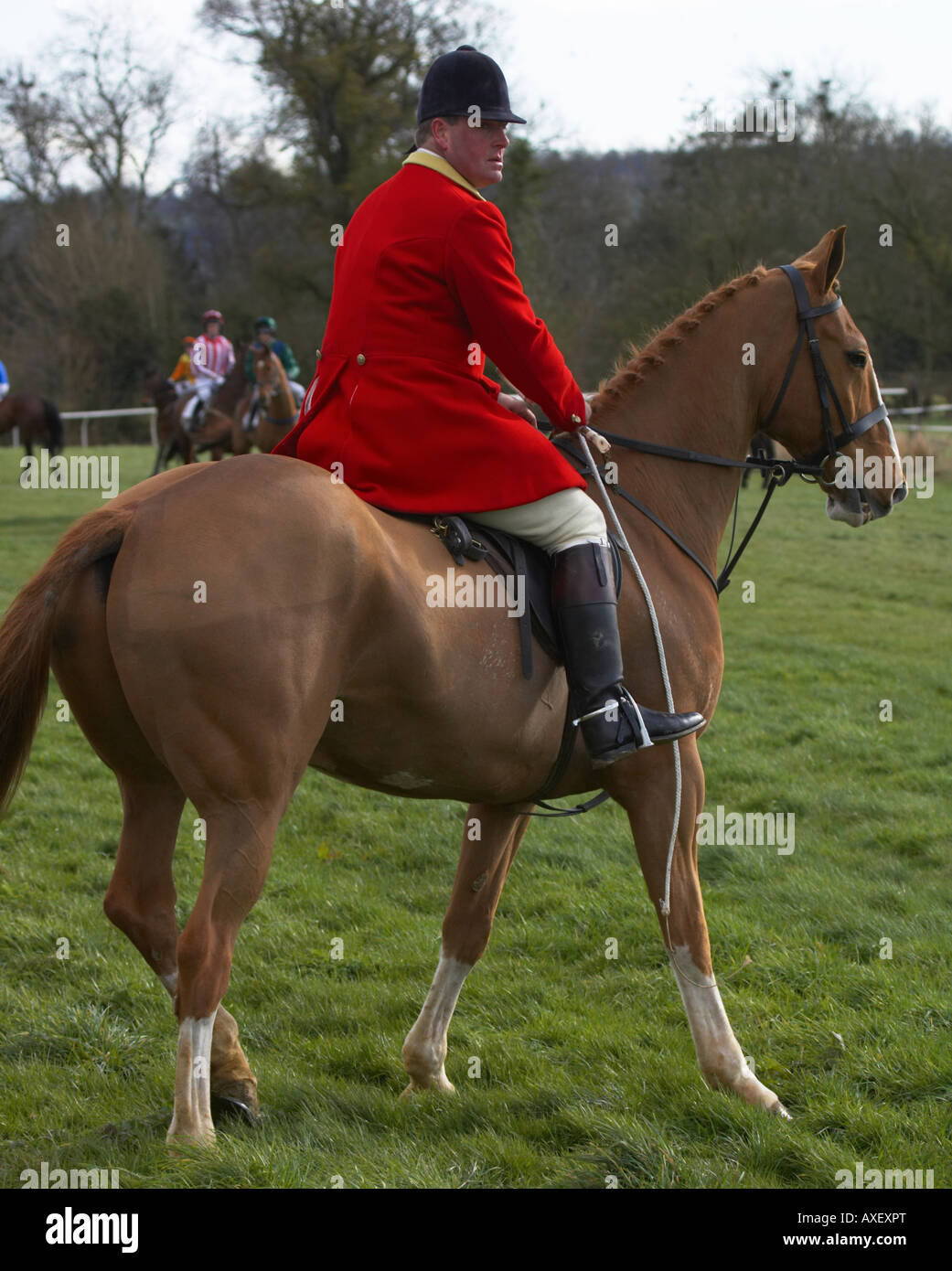 Paxford, north cotswold point to point Stock Photo Alamy