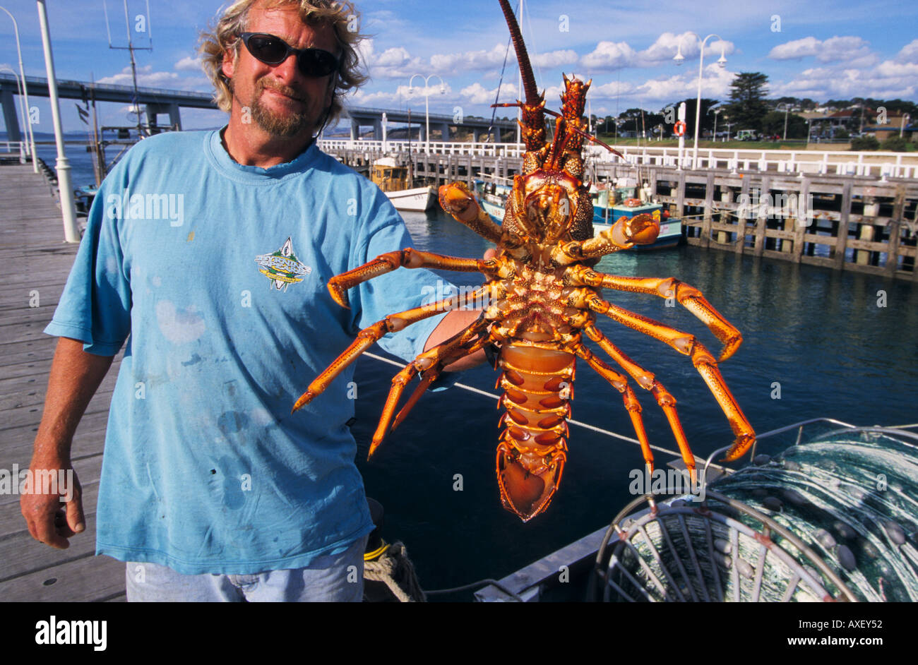 Lobster fisherman with catch, San Remo, Phillip Island, Western Port,  Victoria, Australia, horizontal, Jasus edwardsi Stock Photo - Alamy